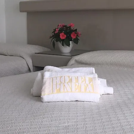 Pineta Hotel 3*